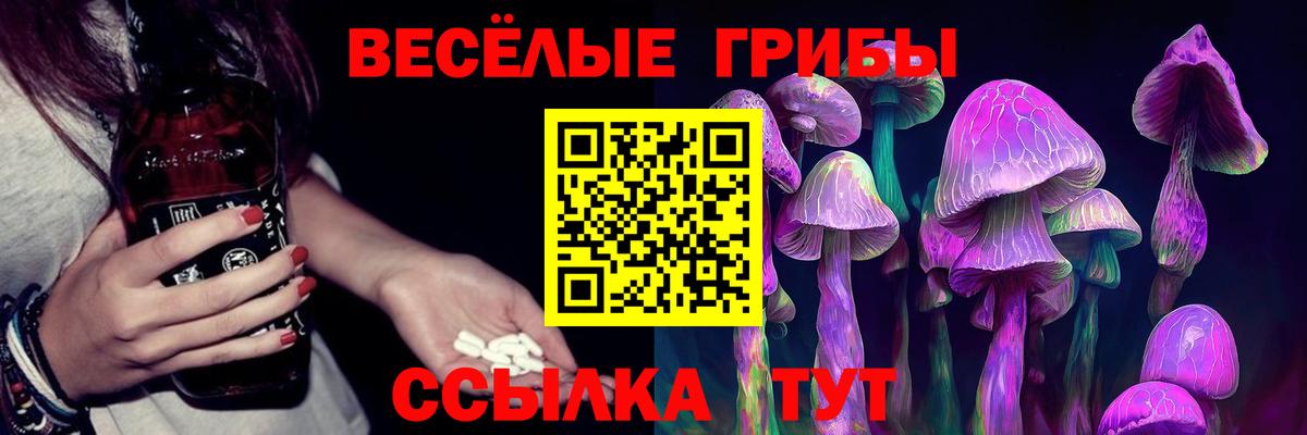 Псилоцибиновые грибы прущие грибы  Вход с VPN  Галлюциногенные грибы GOLDEN TEACHER  Майский 